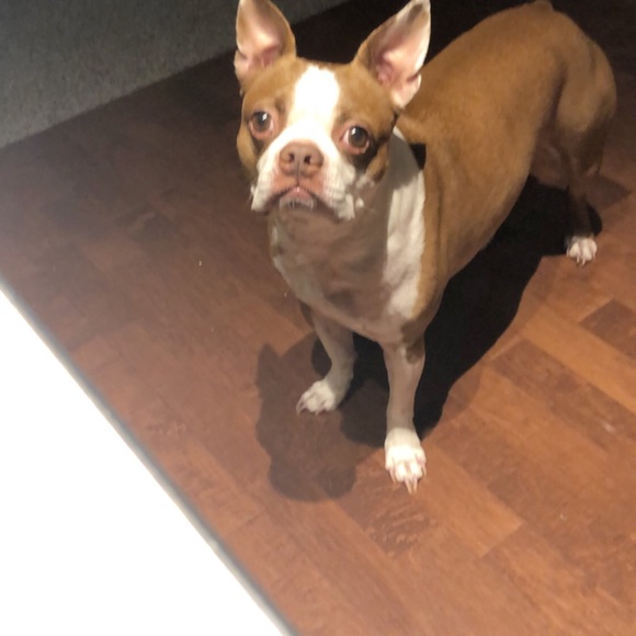 Meet your Posher, Stephanie - Picture 6 of 12